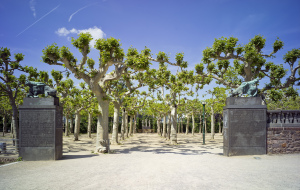 Bernhard Hoetger Platananhain 1904 1914